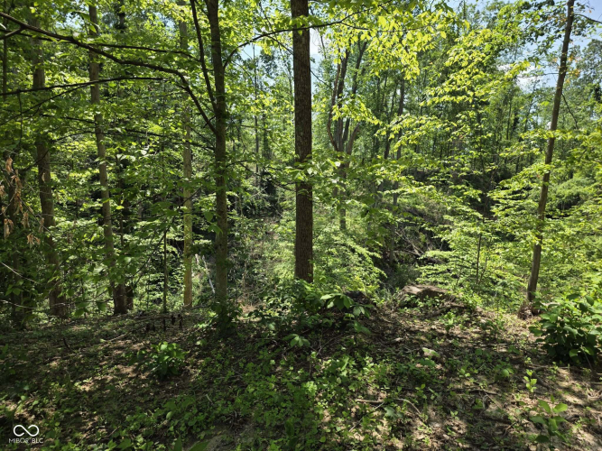 Listing Image 38
