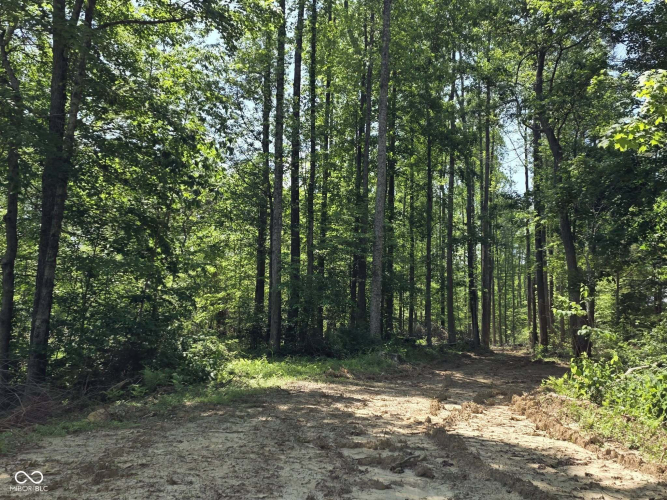 Listing Image 40