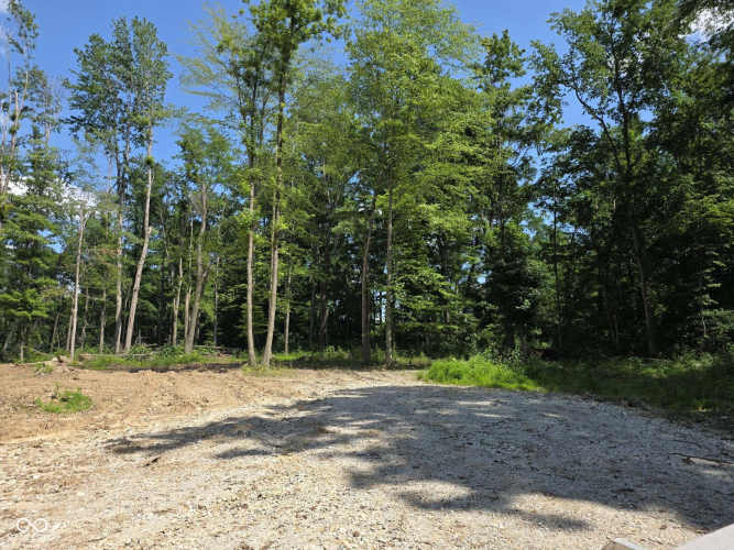 Listing Image 47