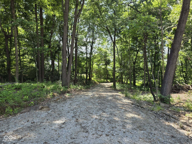 Listing Image 48
