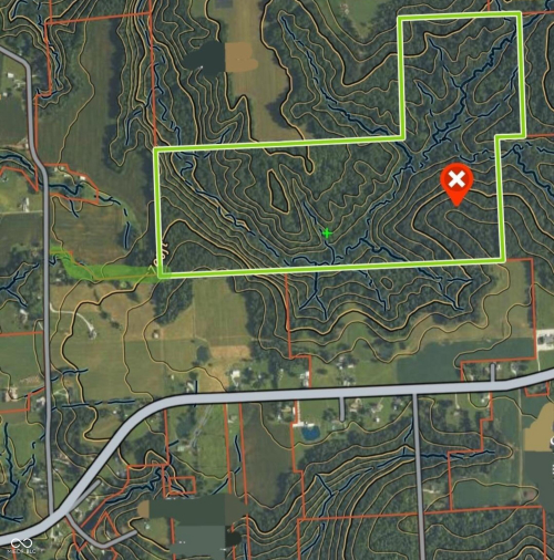 Listing Image 6