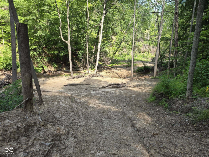 Listing Image 55