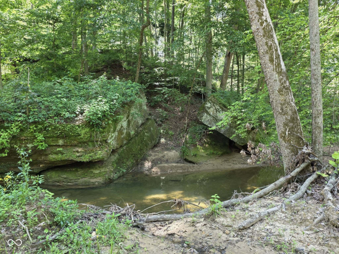 Listing Image 61