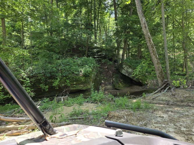 Listing Image 62