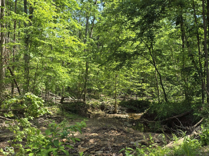 Listing Image 70