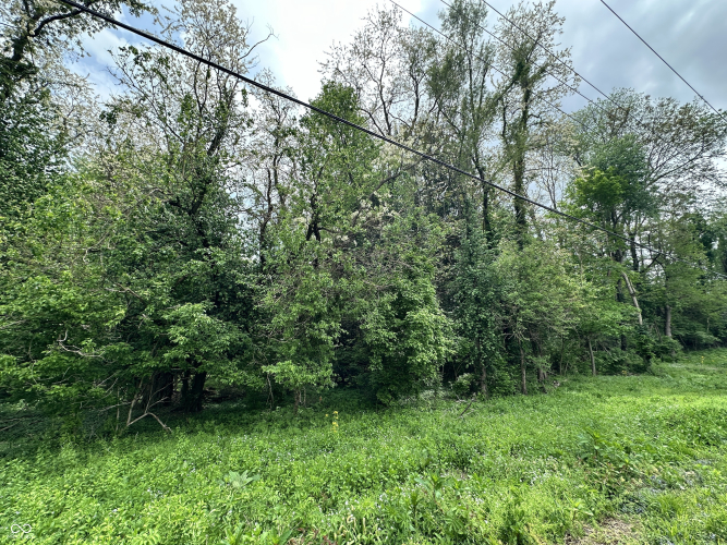 Listing Image 16
