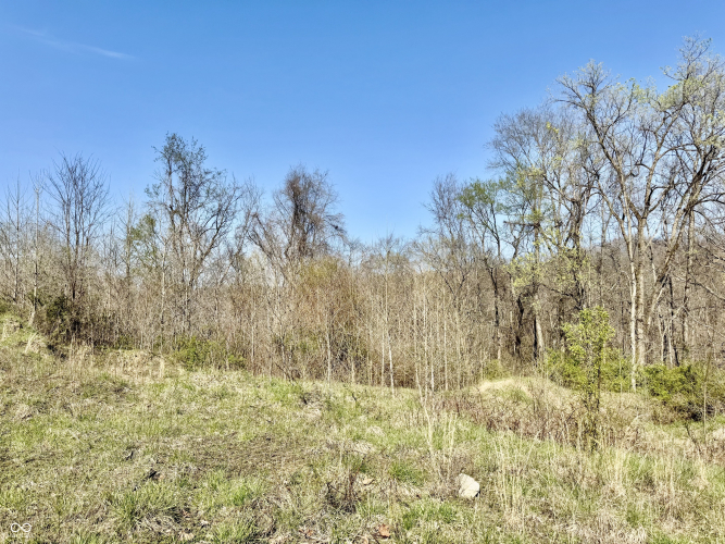 Listing Image 16