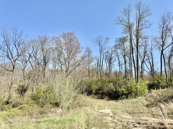 Listing Image 17