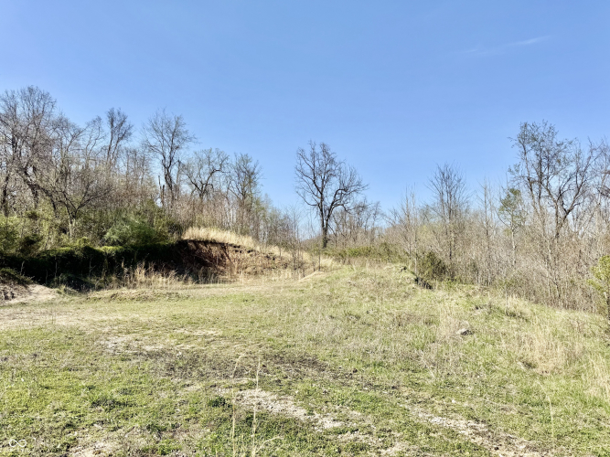 Listing Image 18