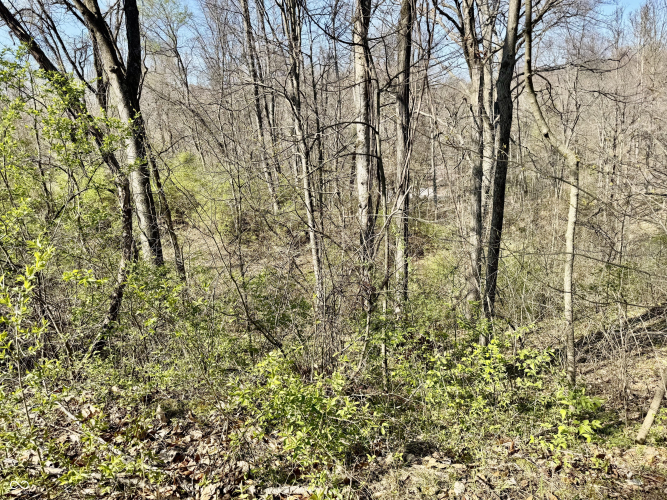 Listing Image 20