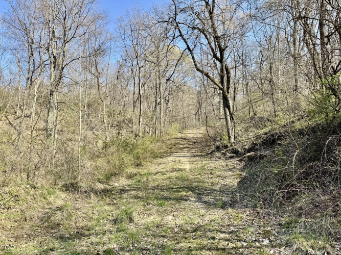 Listing Image 22