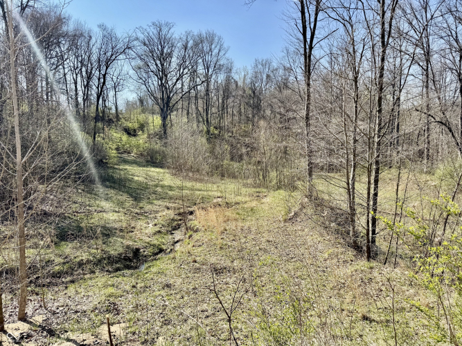 Listing Image 24