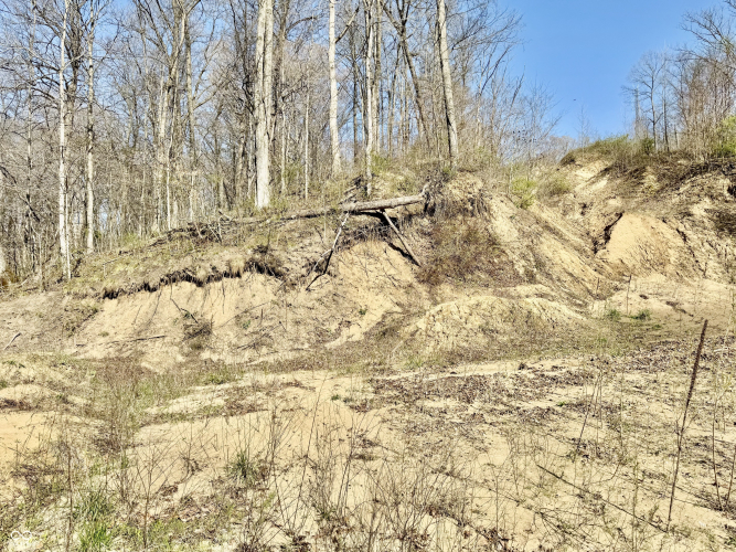 Listing Image 25