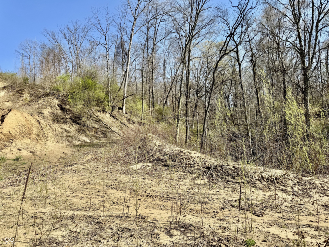 Listing Image 26