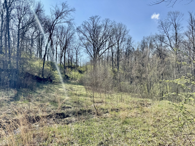 Listing Image 27