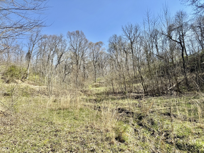 Listing Image 28