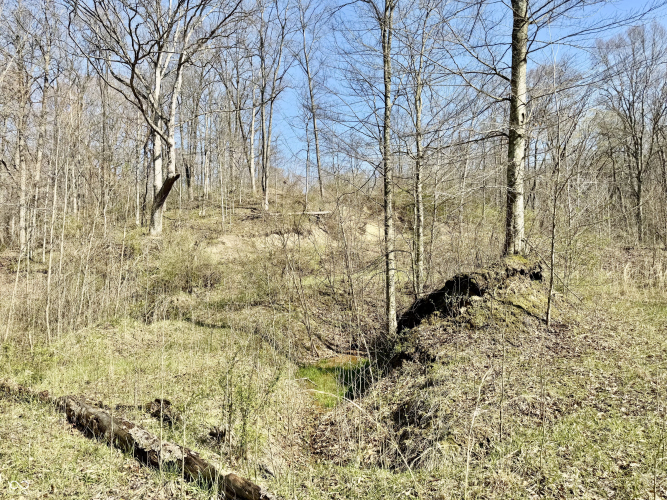 Listing Image 29