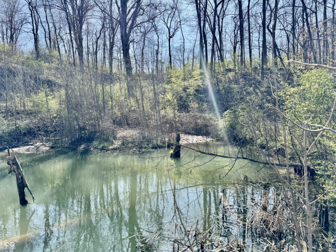 Listing Image 31