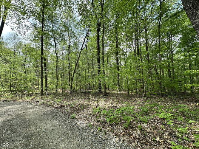 Listing Image 18