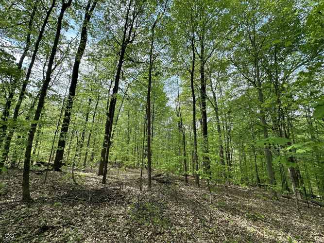 Listing Image 21