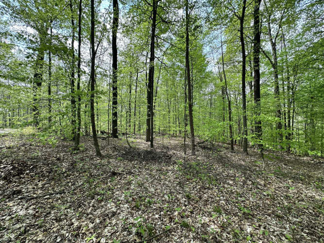 Listing Image 26