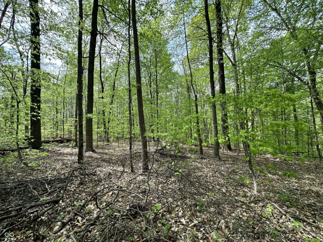 Listing Image 28