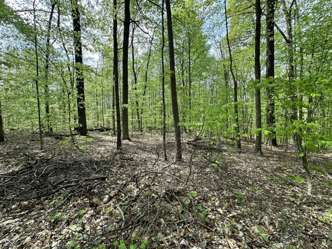 Listing Image 31