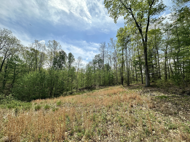 Listing Image 17