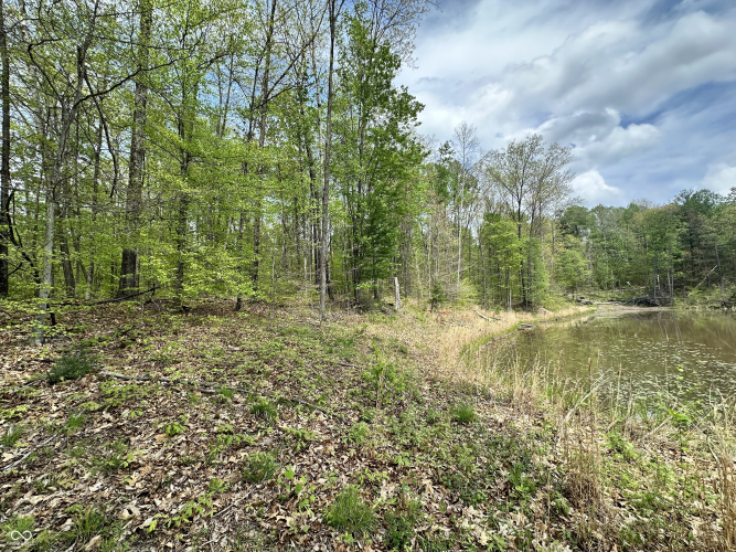 Listing Image 22