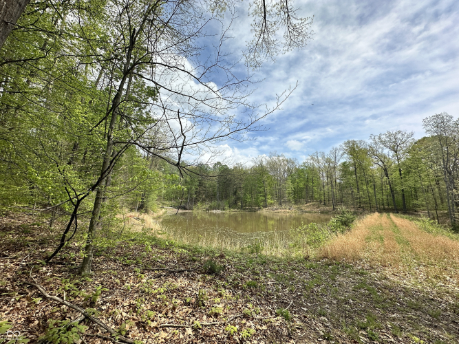 Listing Image 24