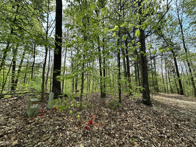 Listing Image 26