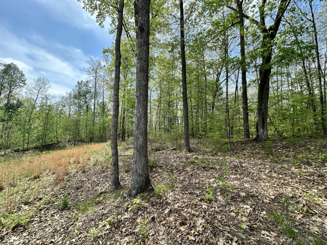 Listing Image 28