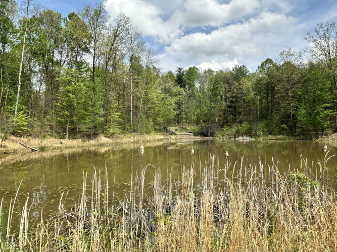 Listing Image 29