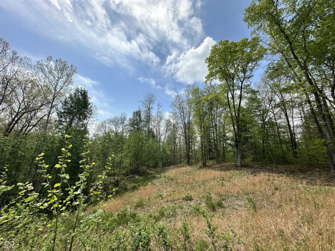 Listing Image 31