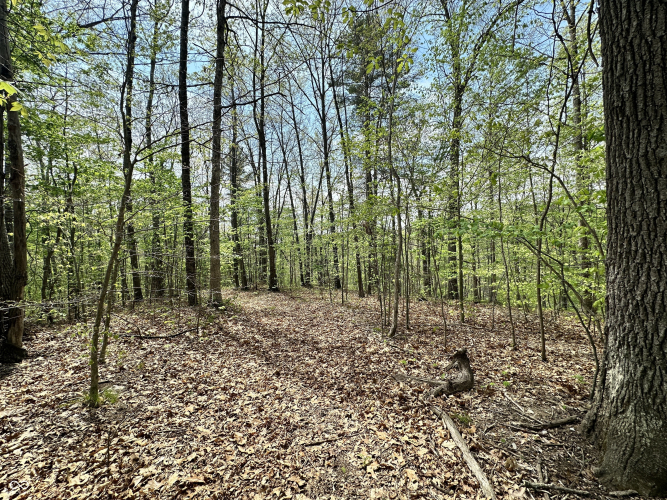 Listing Image 32