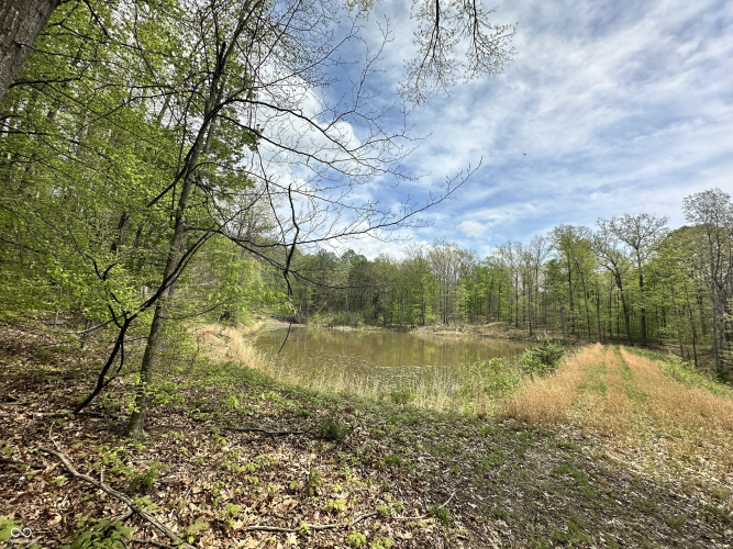 Listing Image 34