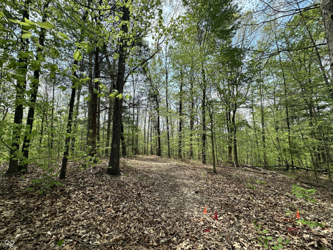 Listing Image 37