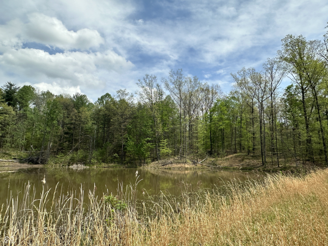 Listing Image 39