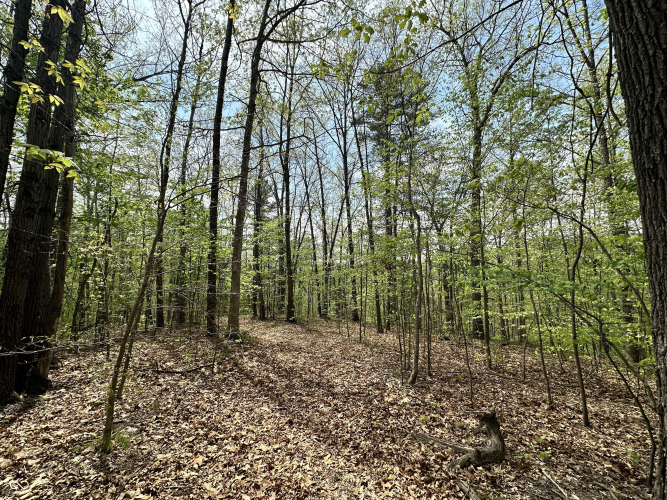 Listing Image 40