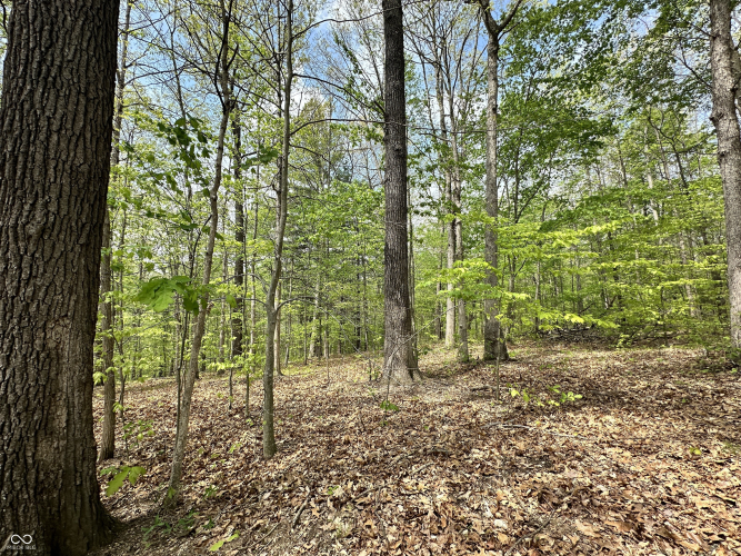 Listing Image 41