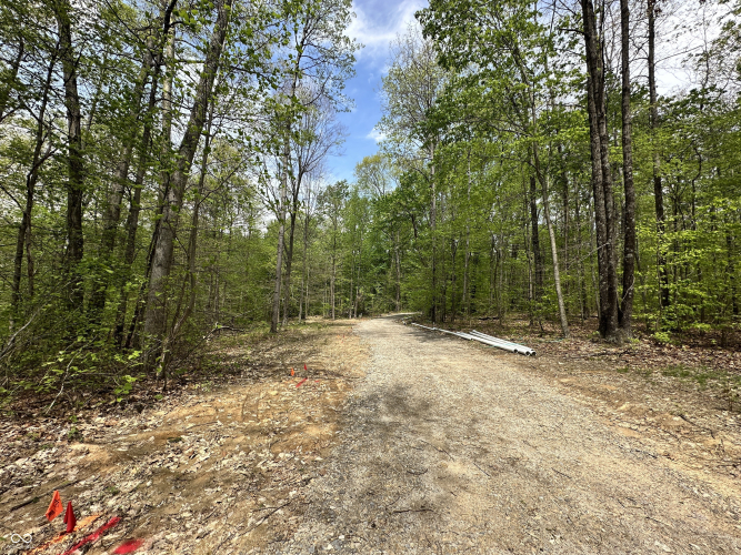 Listing Image 42