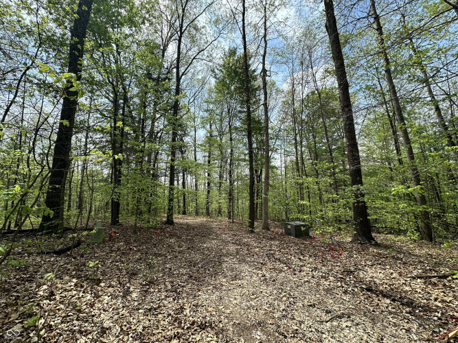 Listing Image 9