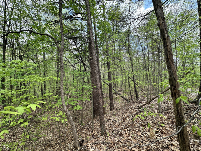 Listing Image 14