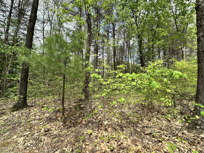 Listing Image 11