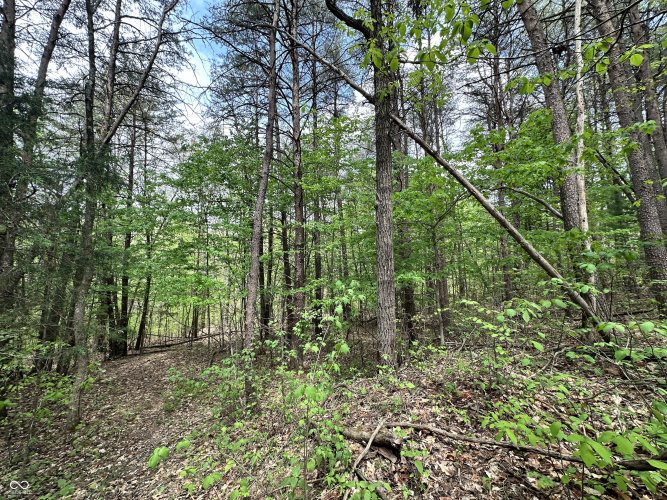 Listing Image 18