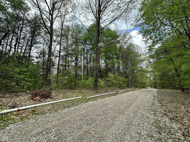 Listing Image 13