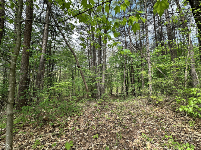 Listing Image 20
