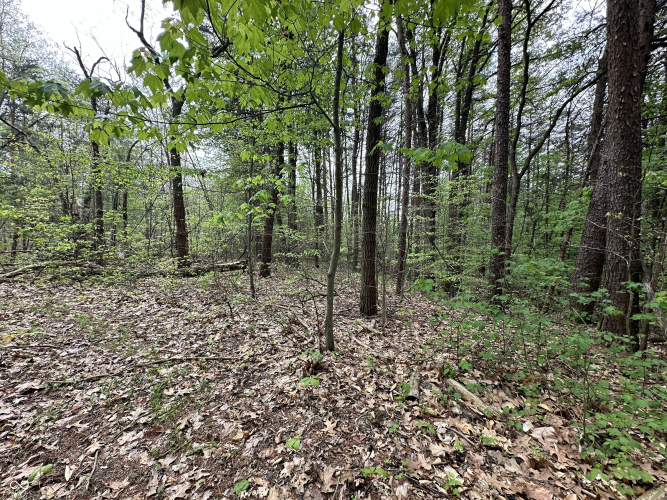 Listing Image 25