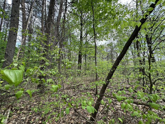 Listing Image 27
