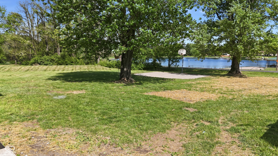 Listing Image 44
